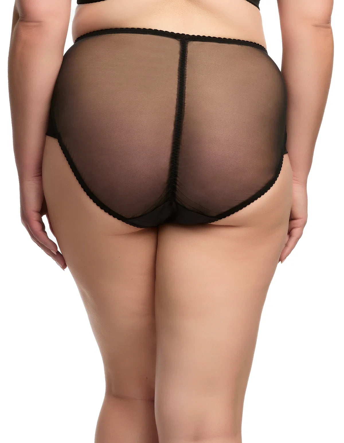 Sheer Embroidered Mesh Brief with Satin and Soft Mesh Back