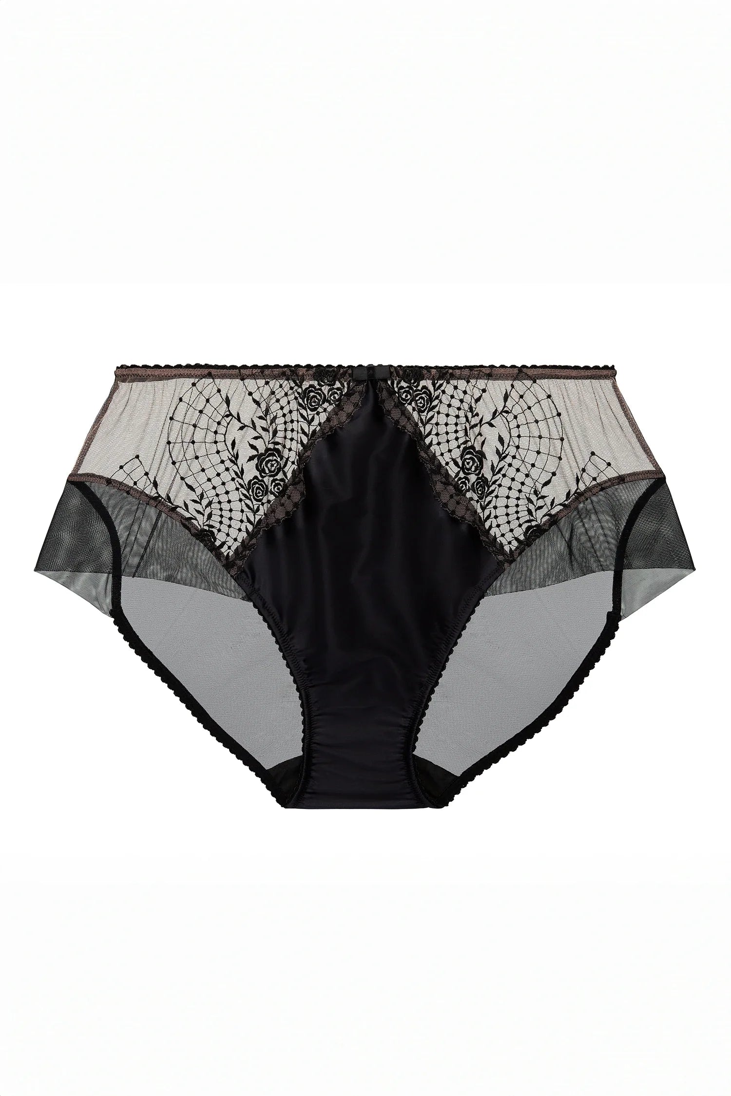 Sheer Embroidered Mesh Brief with Satin and Soft Mesh Back