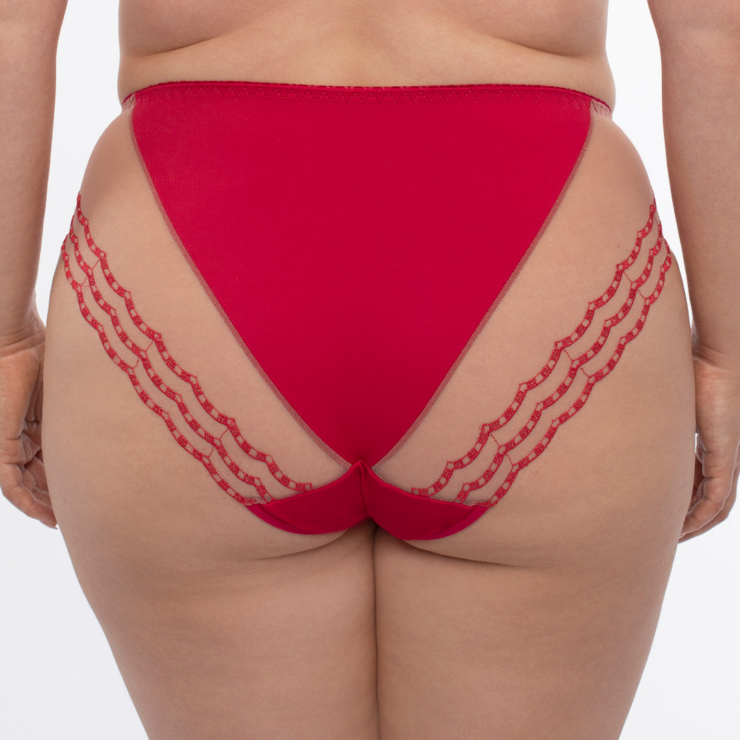 Sheer Mesh Tulle Embroidered Bikini Panty
