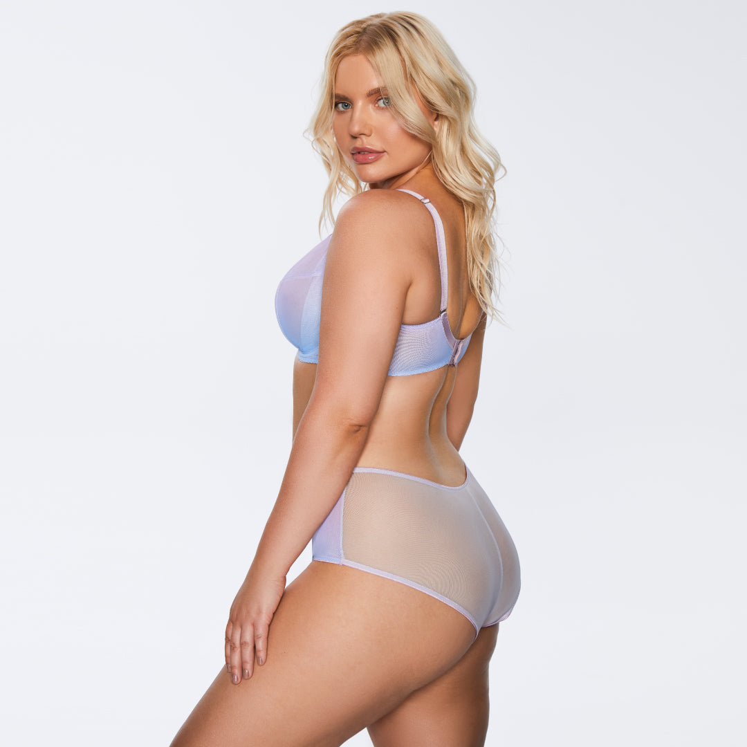 Full Busted Bra with Sheer Mesh