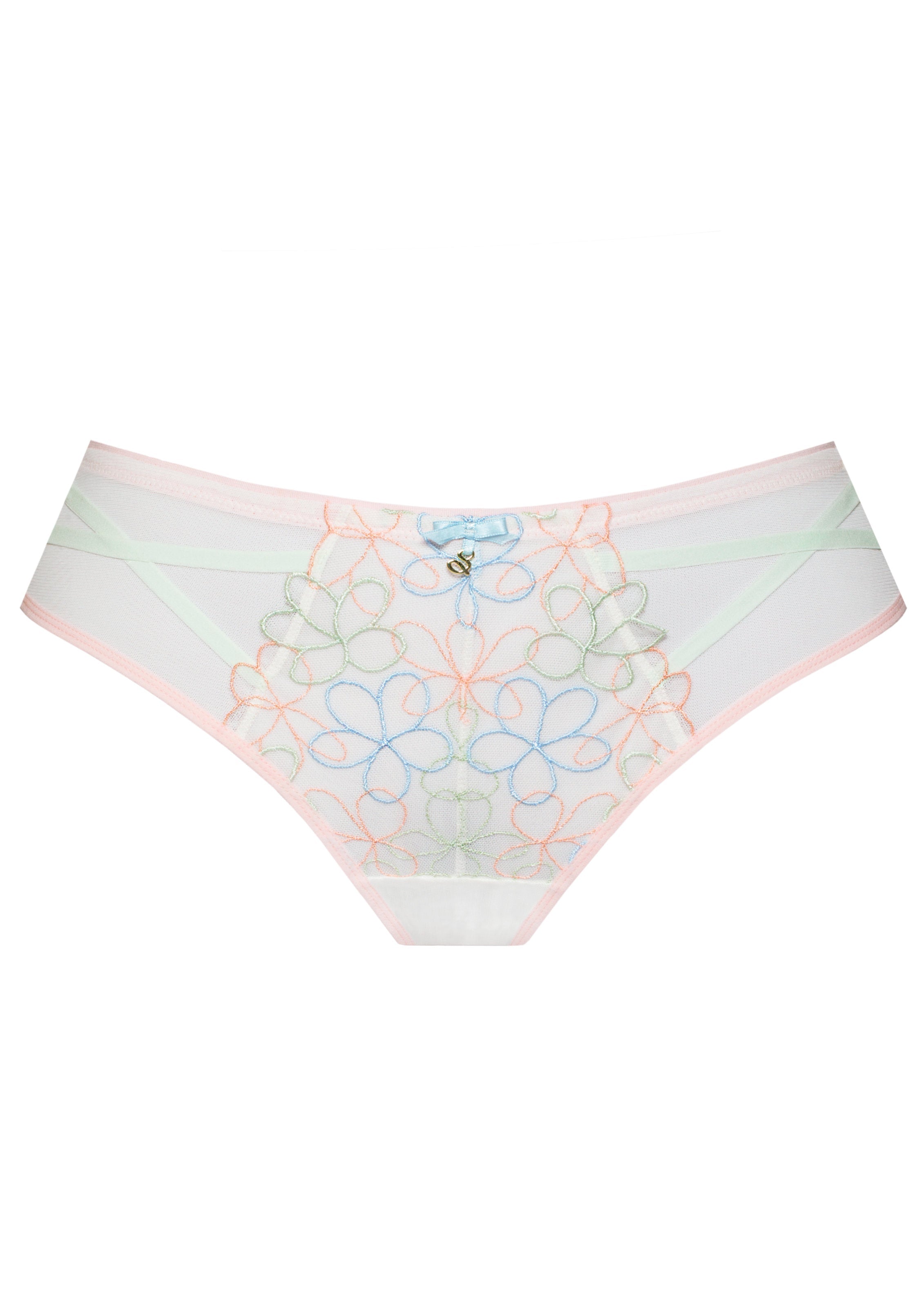 Low Rise Mesh Brazilian Tanga Panty