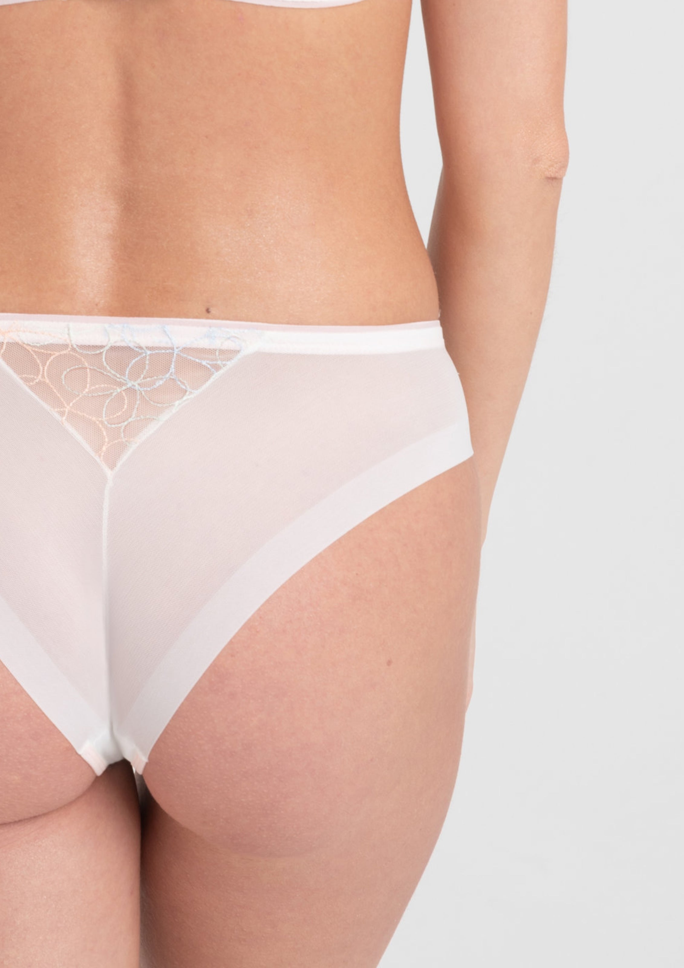 Low Rise Mesh Brazilian Tanga Panty