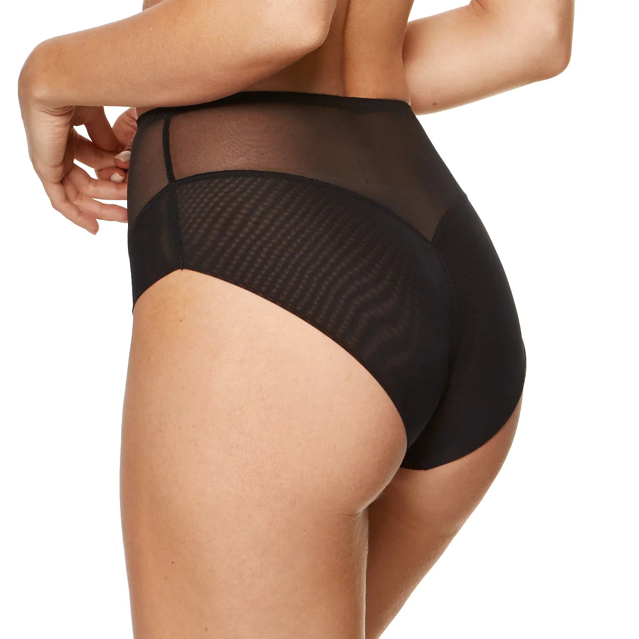 High Waist Sheer Brief Panties with Tulle and Cotton Liner