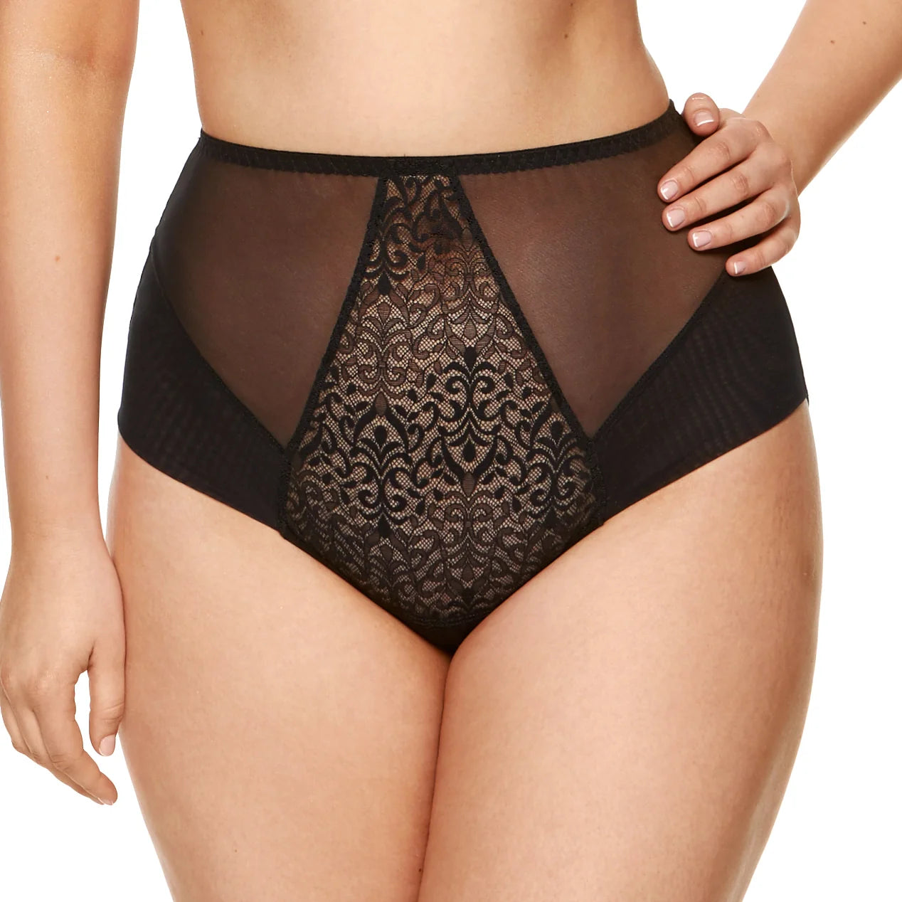 High Waist Sheer Brief Panties with Tulle and Cotton Liner