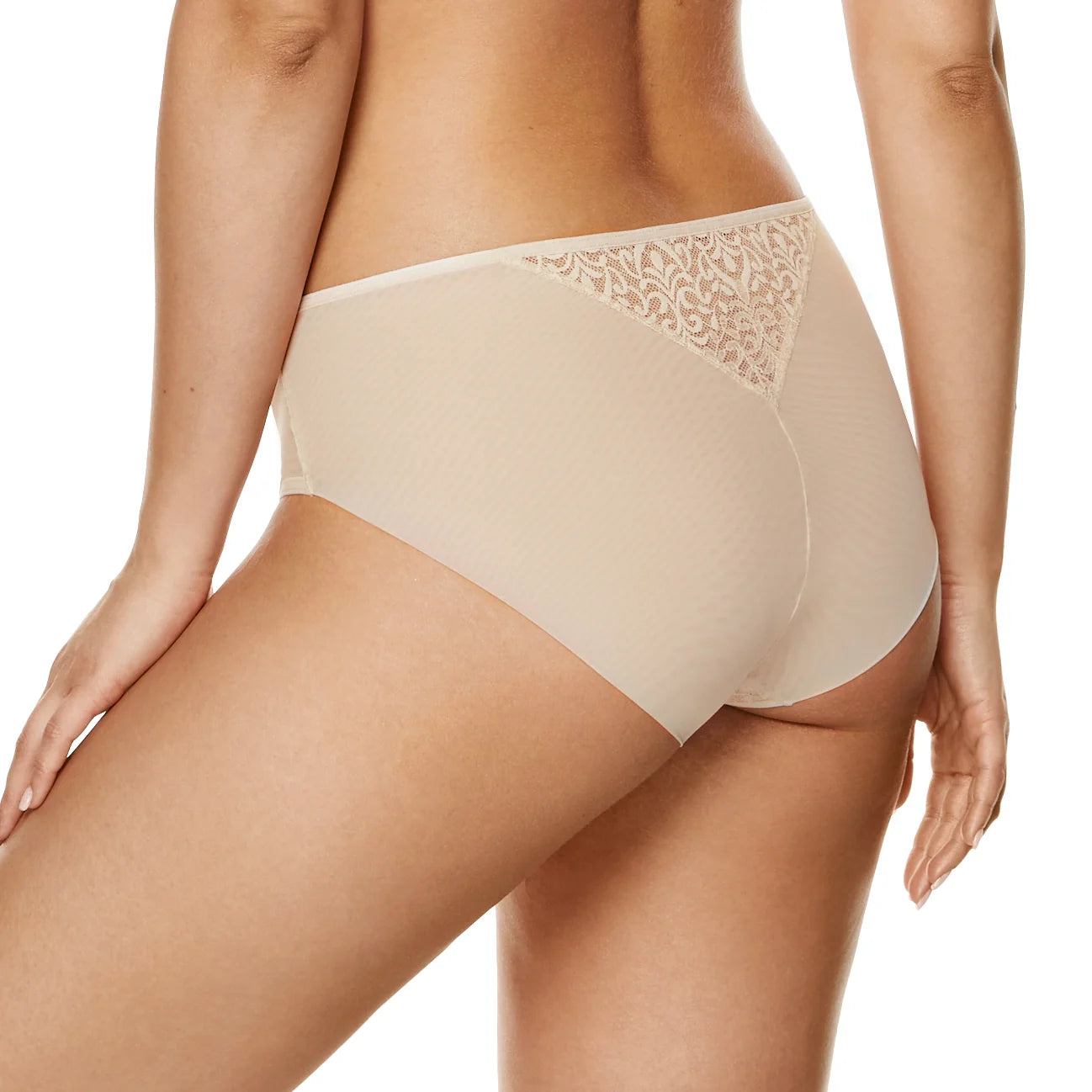 Sheer Elastic Tulle Low-Rise Bikini Panty