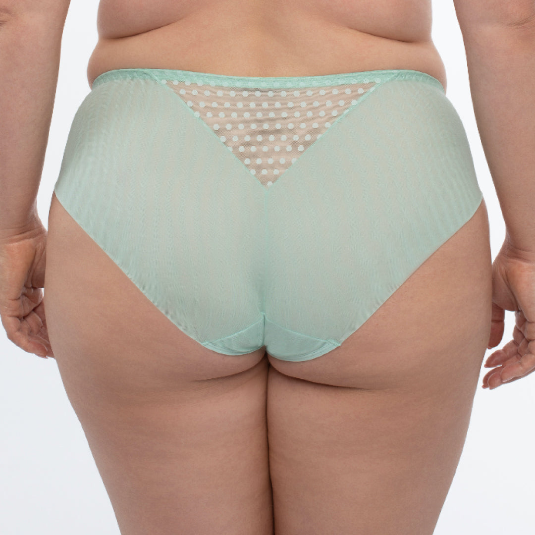 Sheer Mesh Tulle Embroidered Bikini Panty