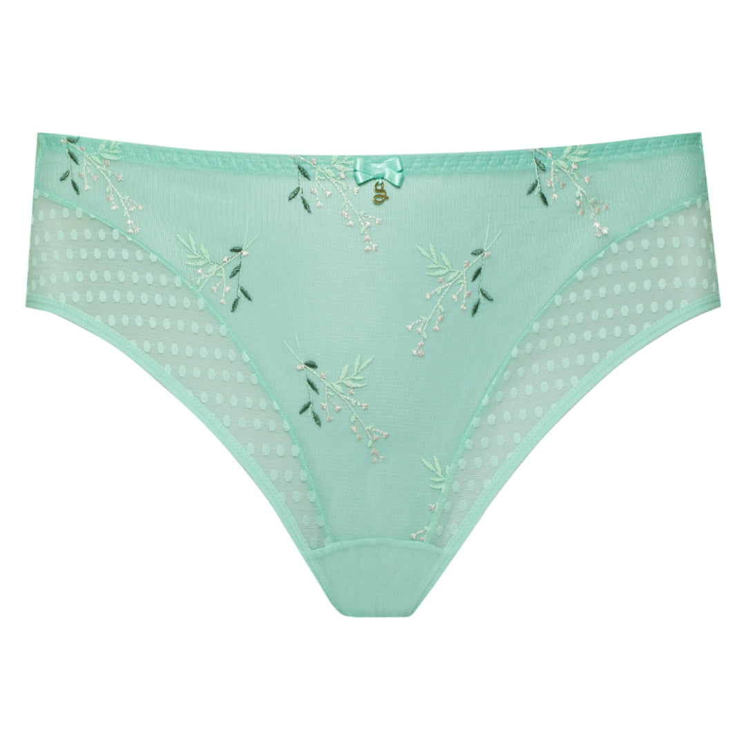 Sheer Mesh Tulle Embroidered Bikini Panty