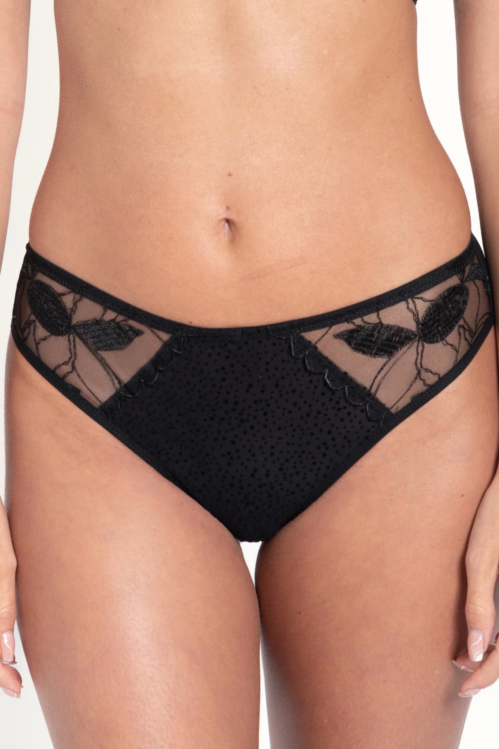 Semi-Sheer High-Waist Brief Panty