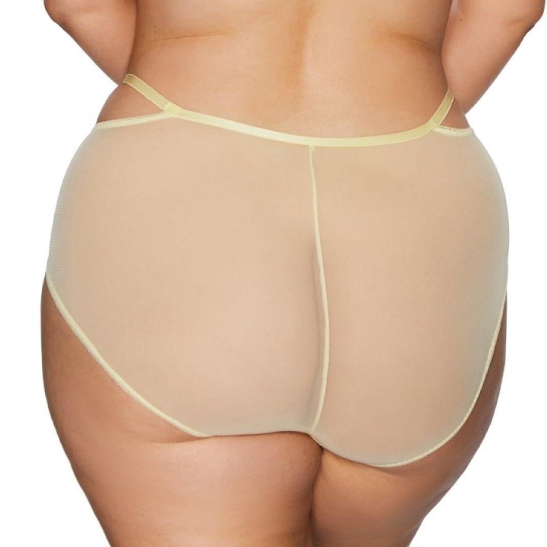 Elegant High-Waist Sheer Brief Panty