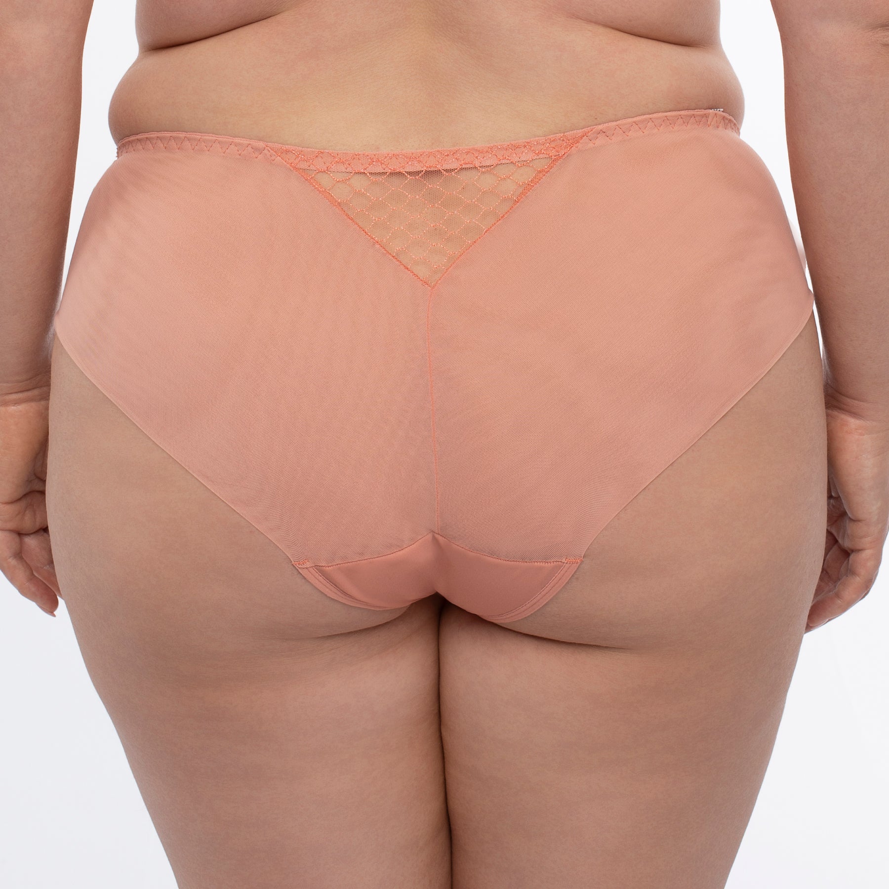 Sheer Mesh Tulle Bikini Panty Elegant Design