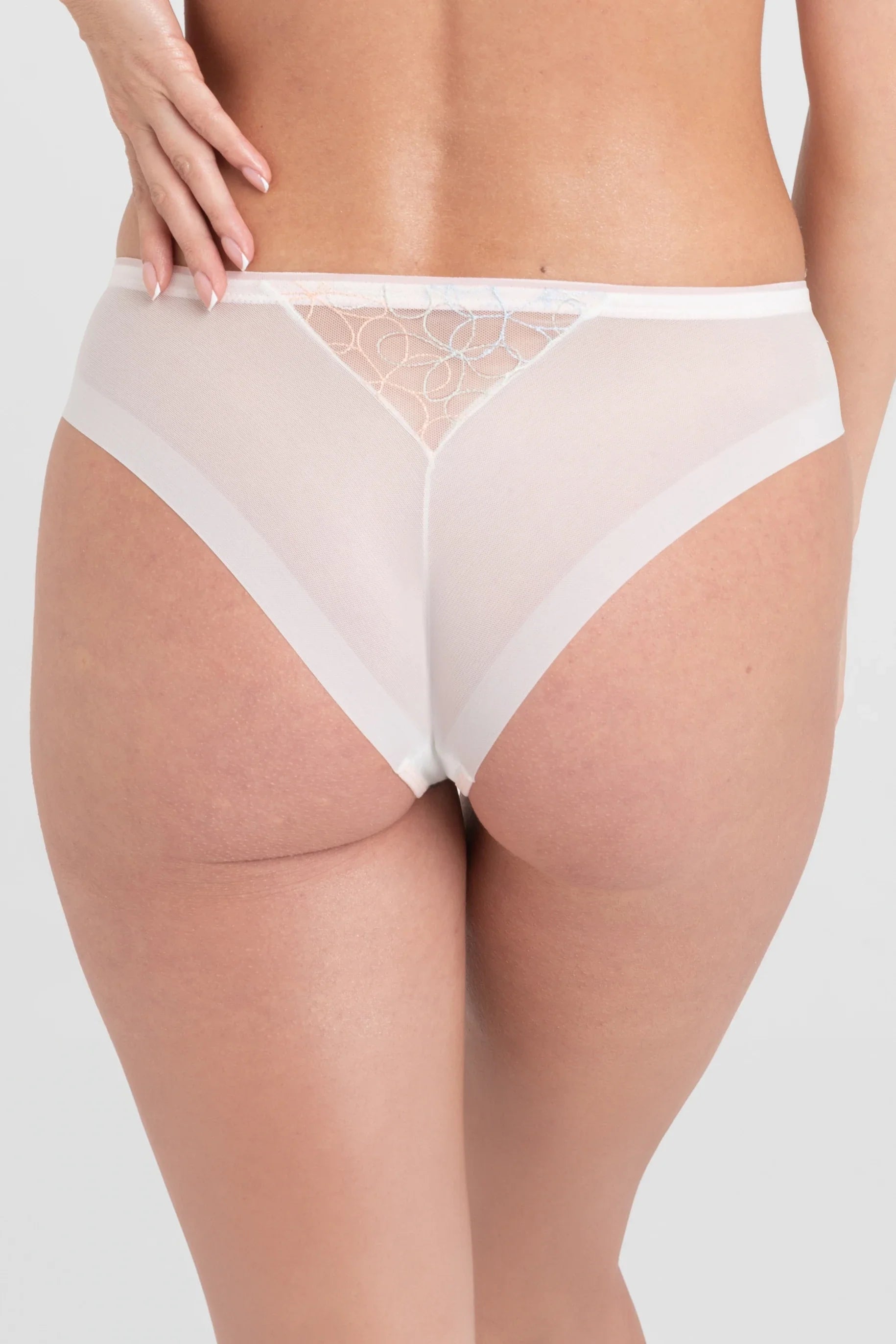 Low Rise Mesh Brazilian Tanga Panty