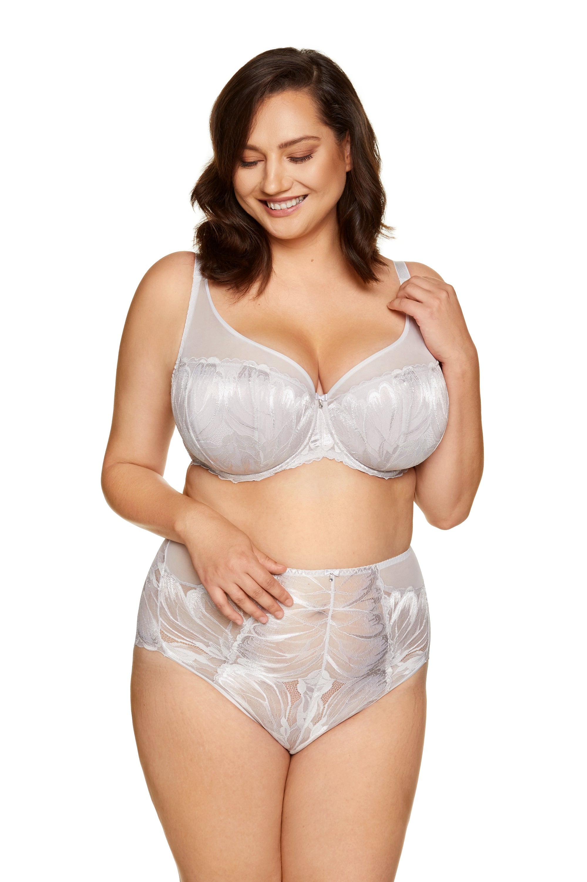 Flattering Lace High-Waist Semi-Sheer Brief