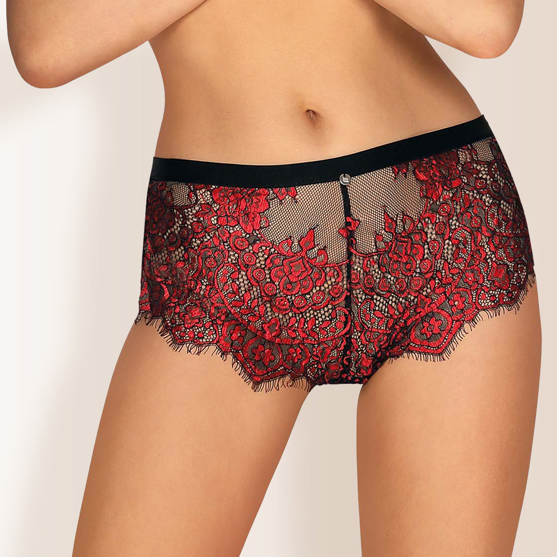 Sheer Lace Shorties Panty Seductive Design