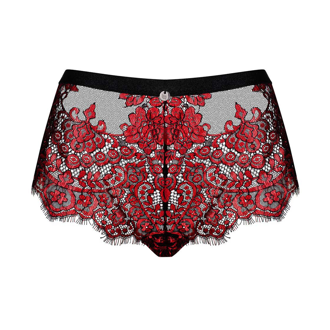 Sheer Lace Shorties Panty Seductive Design