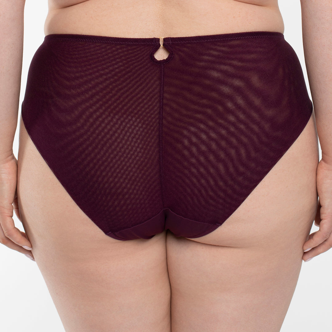 Soft Cotton-Lined Sheer Embroidered Panty
