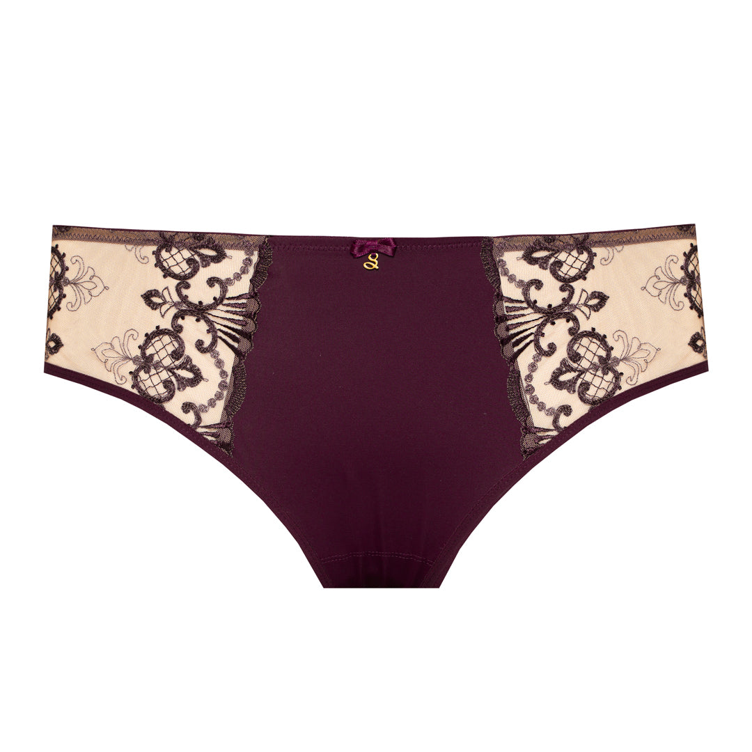 Soft Cotton-Lined Sheer Embroidered Panty
