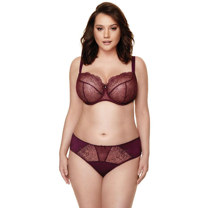 Semi Sheer Lace Low Rise Bikini Panty with Floral Embroidery