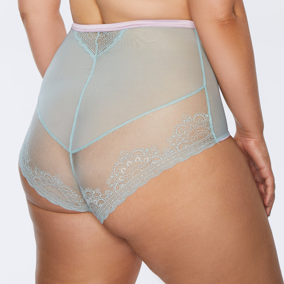 Delicate Lace and Mesh High-Waist Panty
