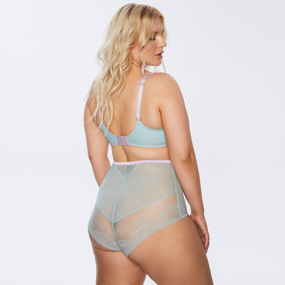 Delicate Lace and Mesh High-Waist Panty