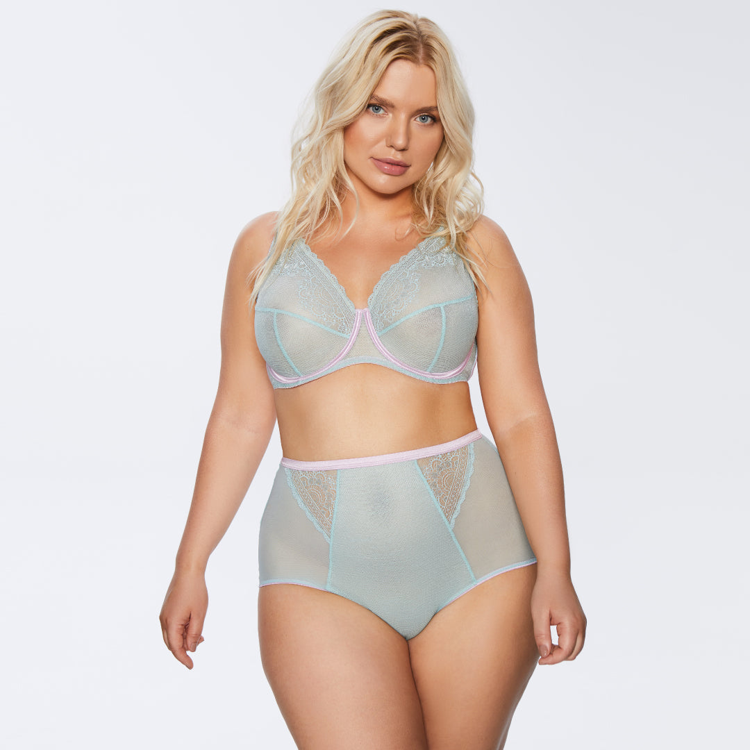 Delicate Lace and Mesh High-Waist Panty