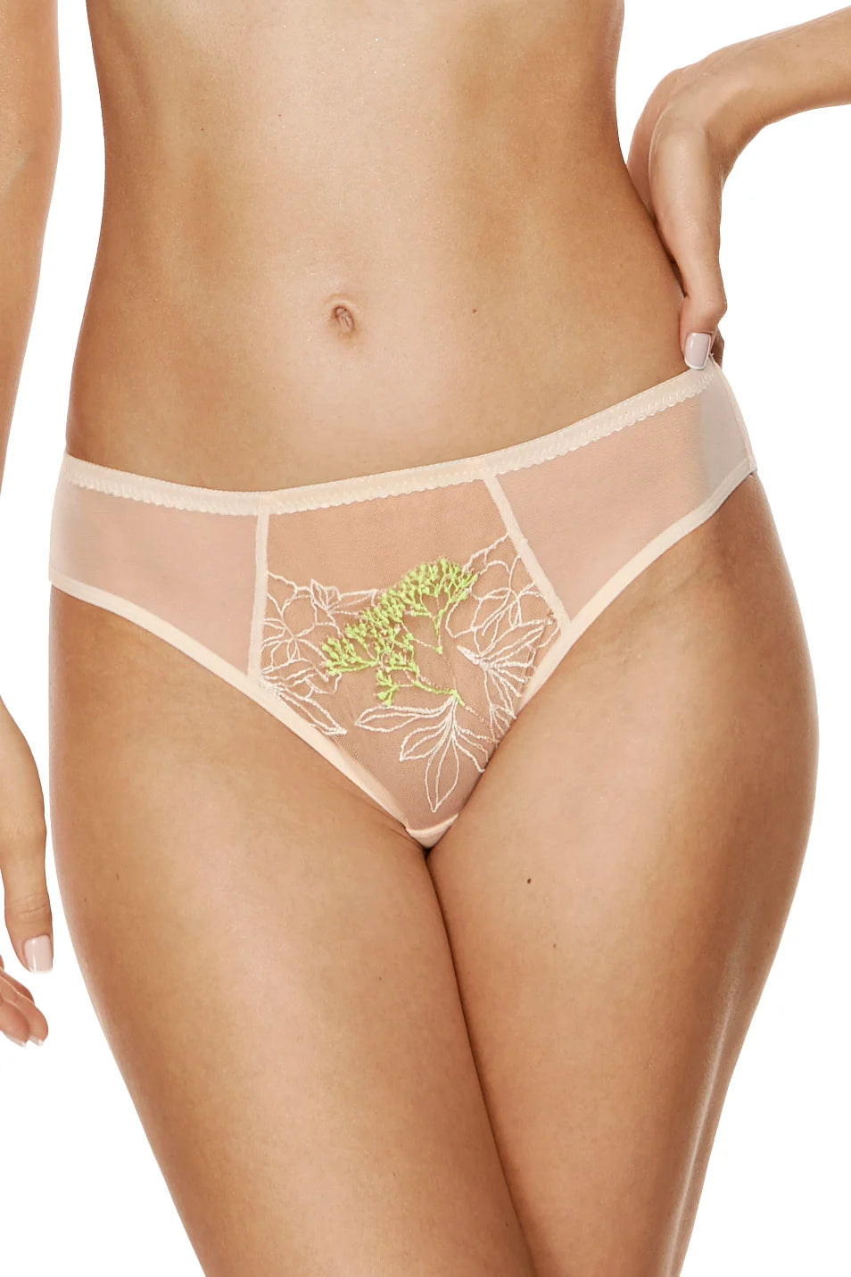 Sheer Mesh Bikini Panty with Embroidery