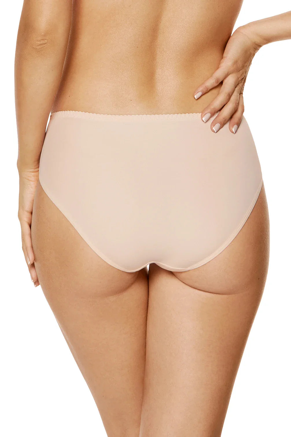 Semi-Sheer Embroidered Bikini Panty