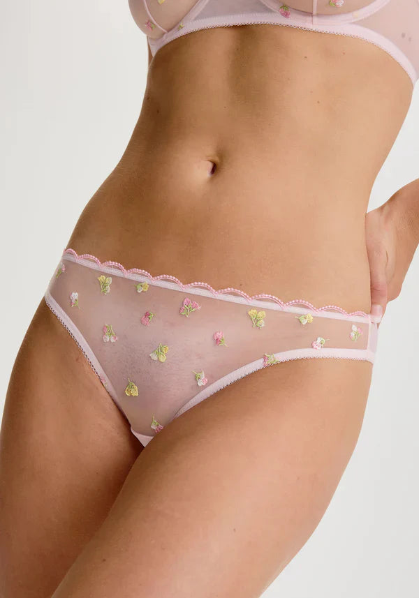 Sheer Mesh Peek A Boo Bikini Panty