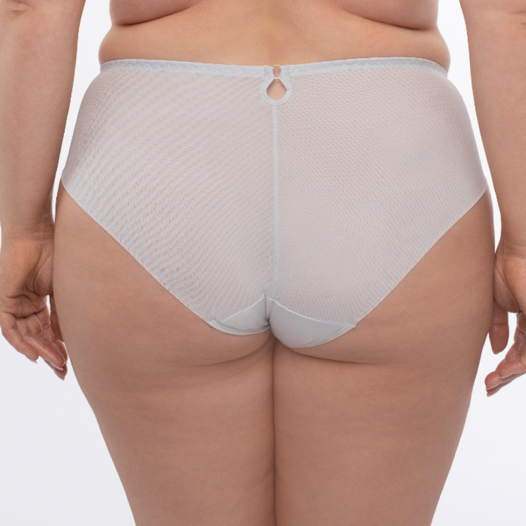 Floral Sheer Mesh Midi Brief Panty