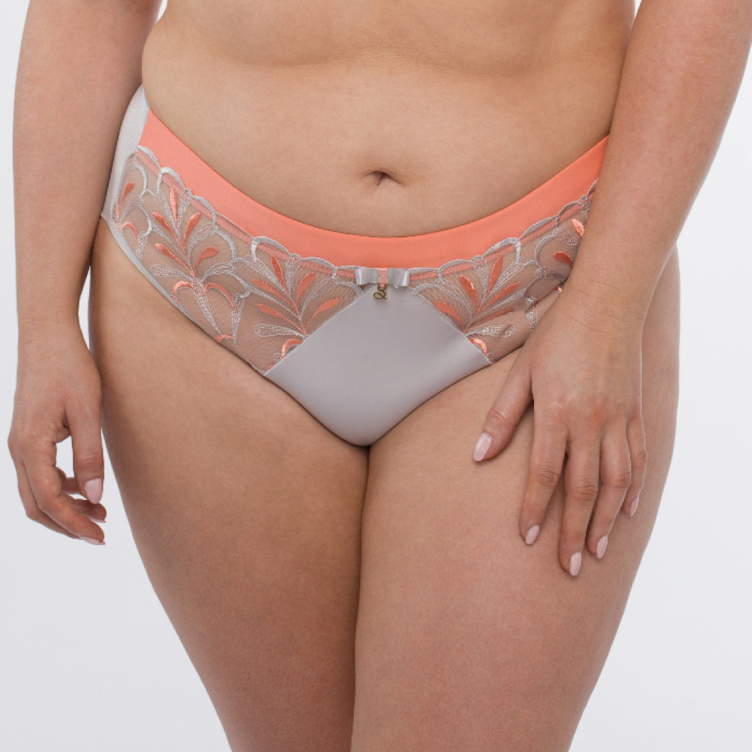 Floral Sheer Mesh Midi Brief Panty