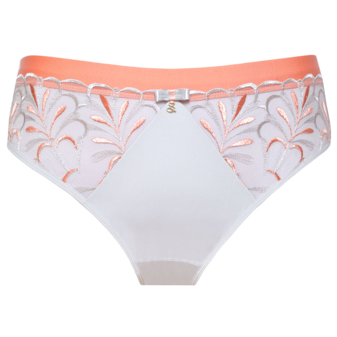 Floral Sheer Mesh Midi Brief Panty