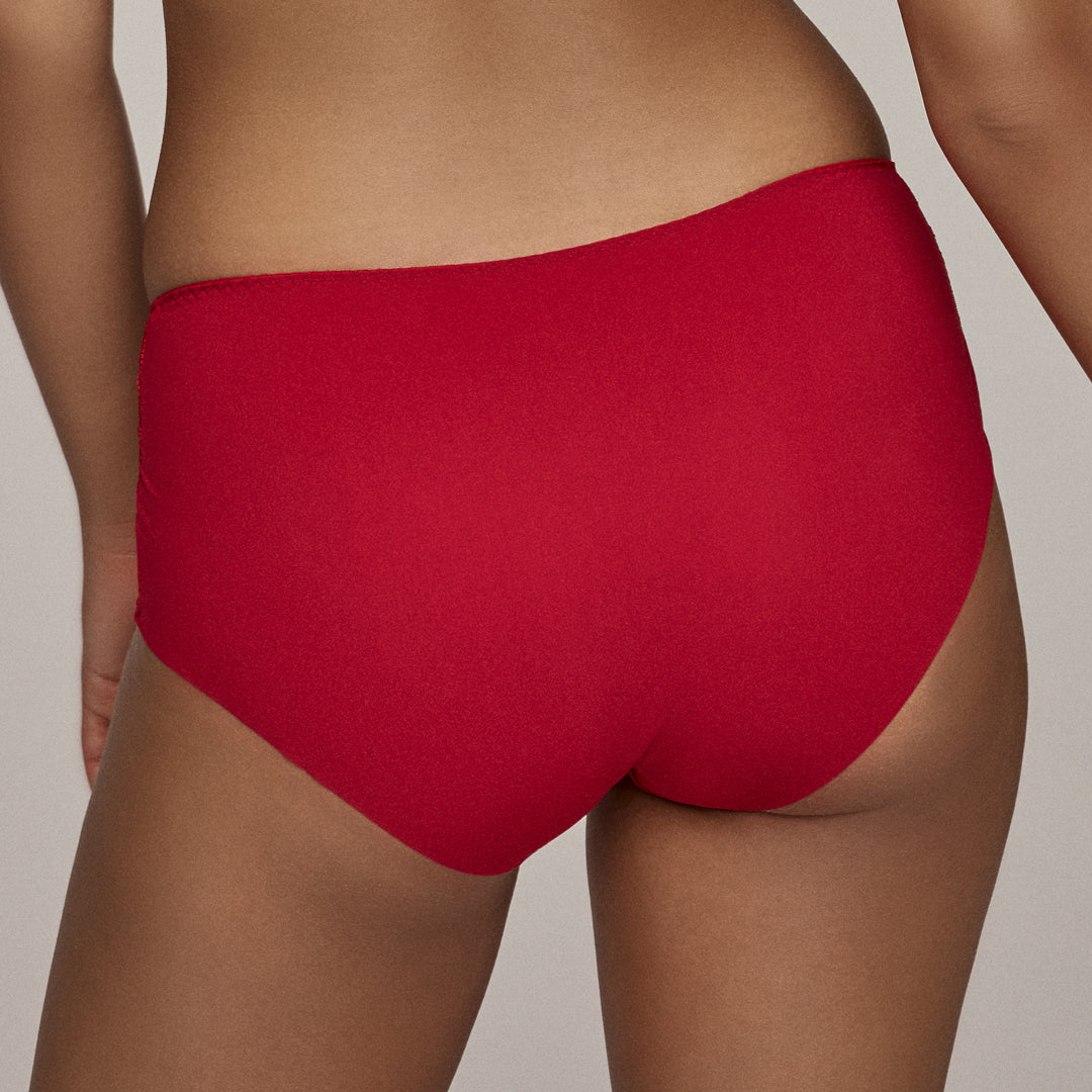 Sexy Semi Sheer Maxi Brief Panty Soft Lining