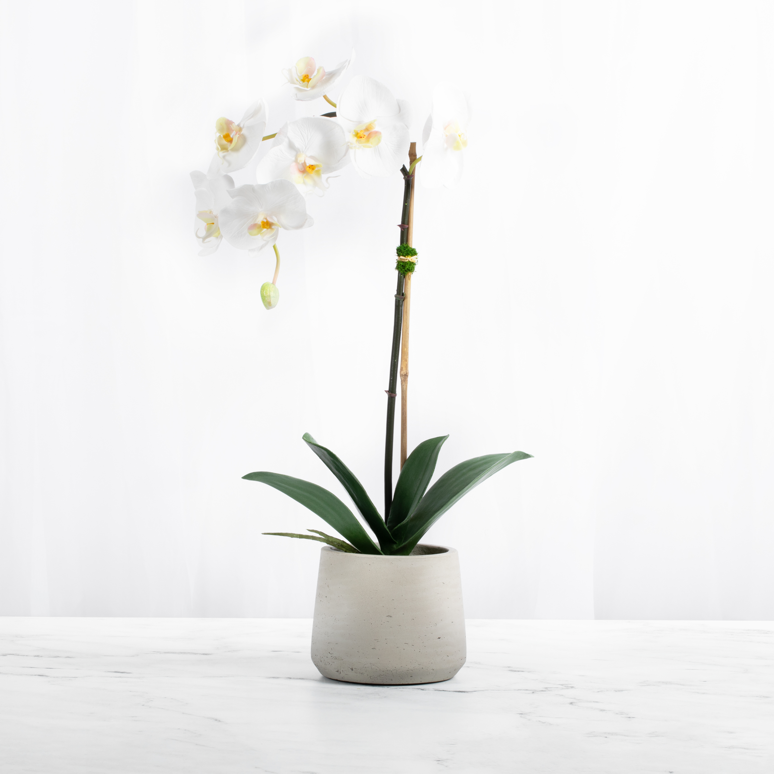 Artificial Orchid Plant White Orchid Plant-0