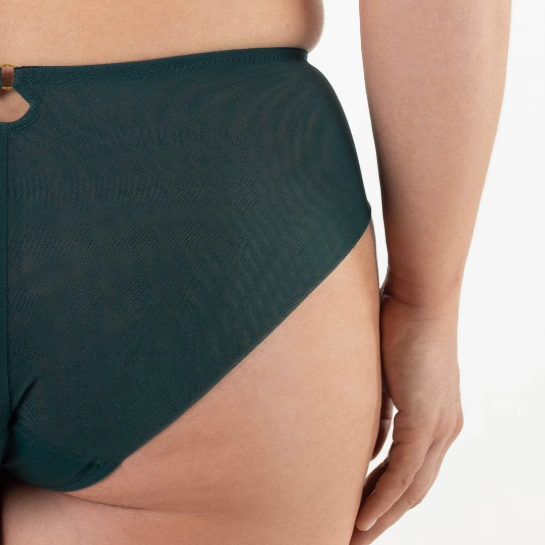 High Waist Sheer Mesh Brief Panties Soft Stretch Design
