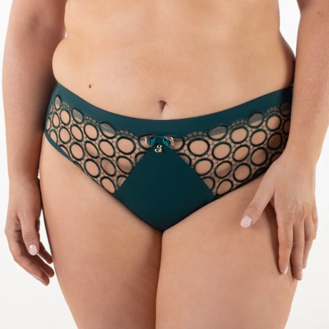 High Waist Sheer Mesh Brief Panties Soft Stretch Design