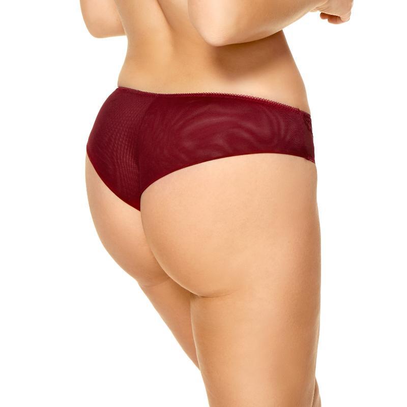 Delicate Tulle and Lace Brazilian Panty
