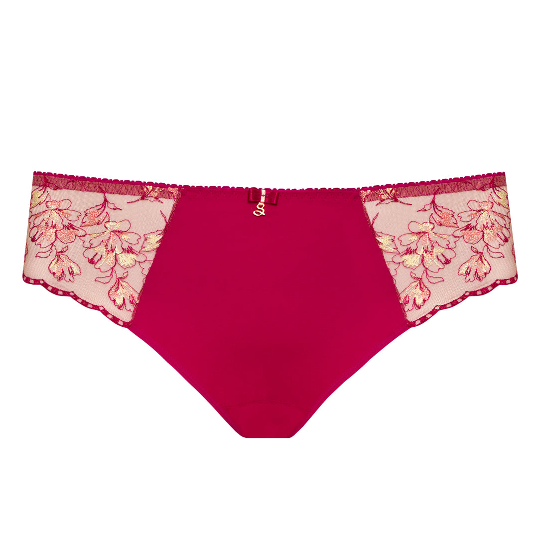 Sheer Mesh Tulle Embroidered Bikini Panty