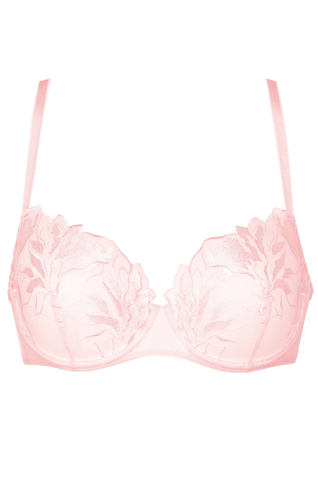 Sheer Mesh Embroidered Support Bra