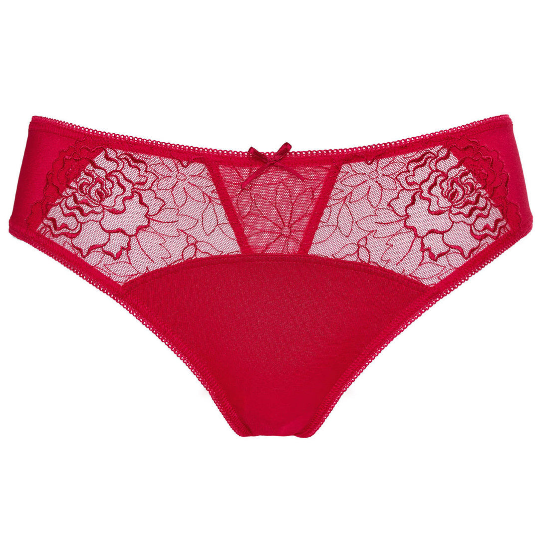 Semi Sheer Lace Low Rise Bikini Panty with Floral Embroidery