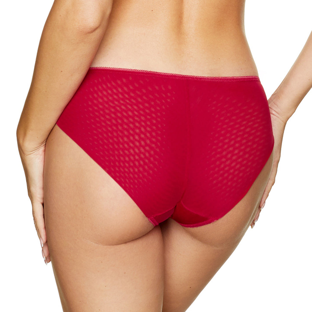Semi Sheer Lace Low Rise Bikini Panty with Floral Embroidery