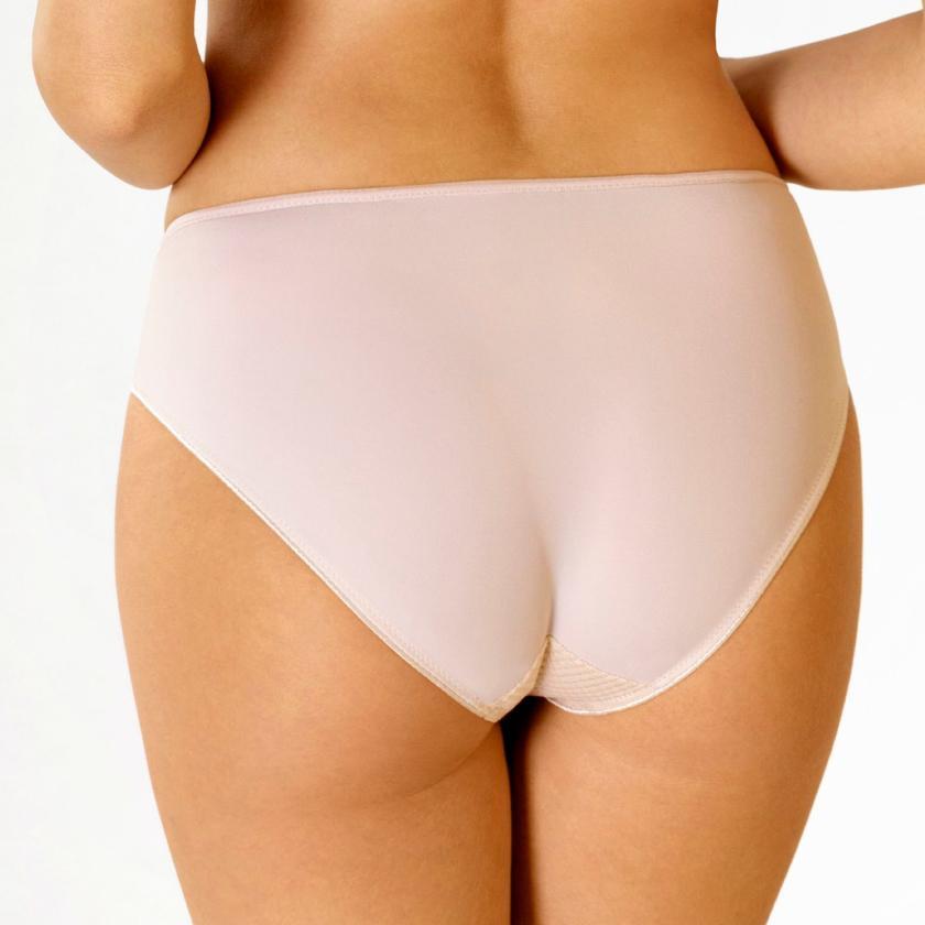 Everyday Semi-Sheer Mesh Bikini Panty