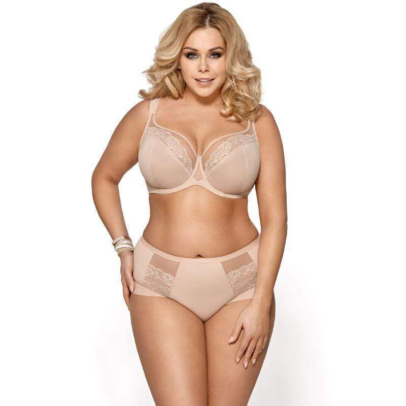 Sheer Lace High Waist Brief Panties Everyday Comfort