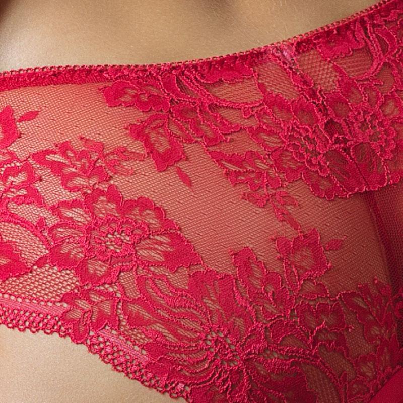 Elegant Lace Embroidered Bikini Panty