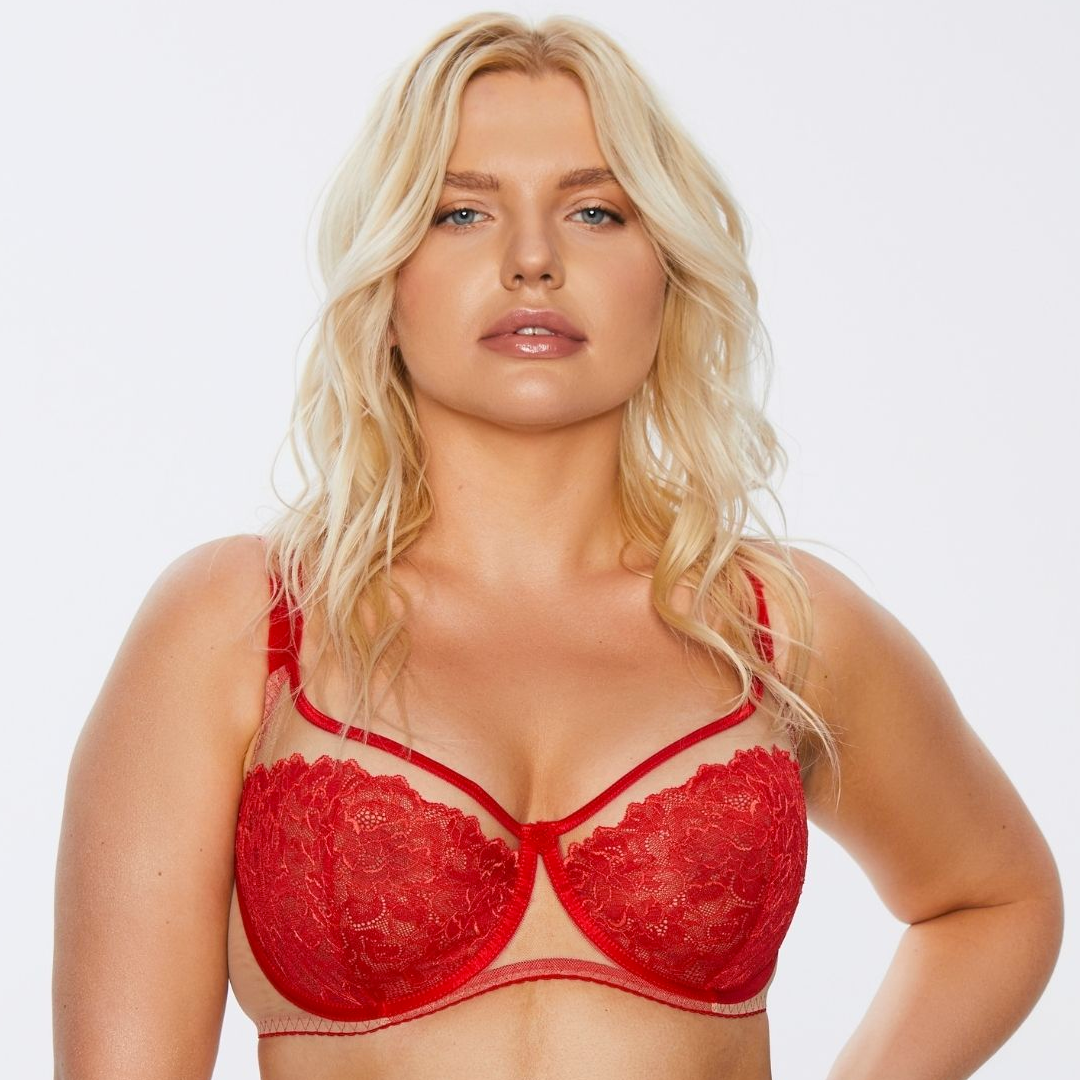 Full-Busted Lace Bra with Sheer Mesh