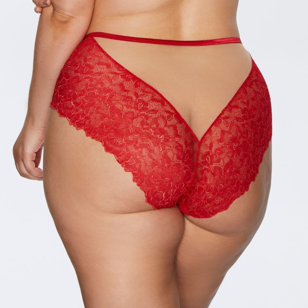 Elegant Lace Brief Panty with Embroidered Front Design