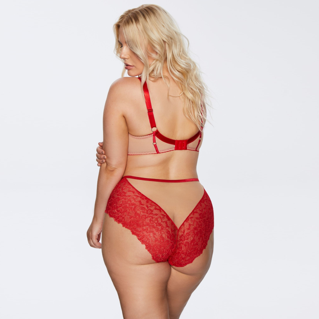 Elegant Lace Brief Panty with Embroidered Front Design