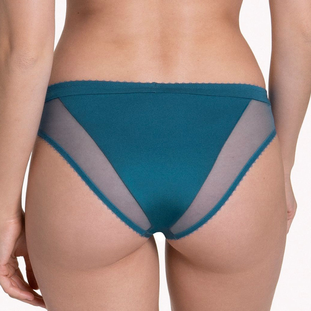 Sexy Lace-Trimmed Sheer Mesh Bikini Panty