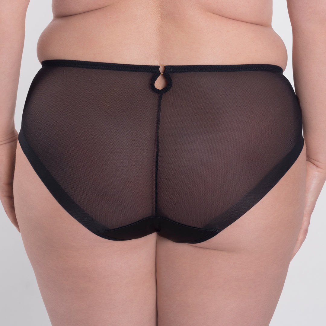 Soft Cotton-Lined Sheer Embroidered Panty