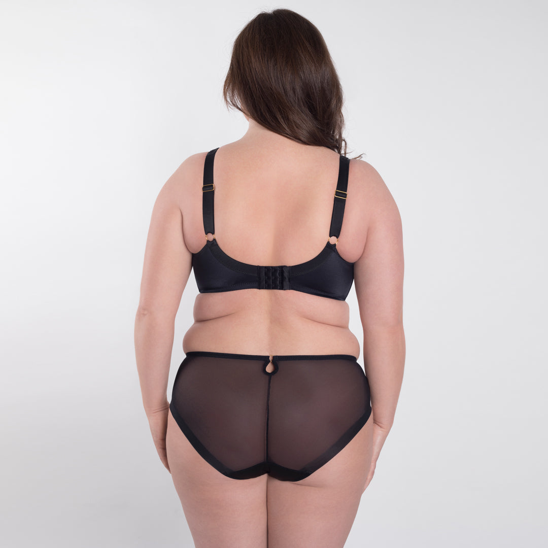 Soft Cotton-Lined Sheer Embroidered Panty