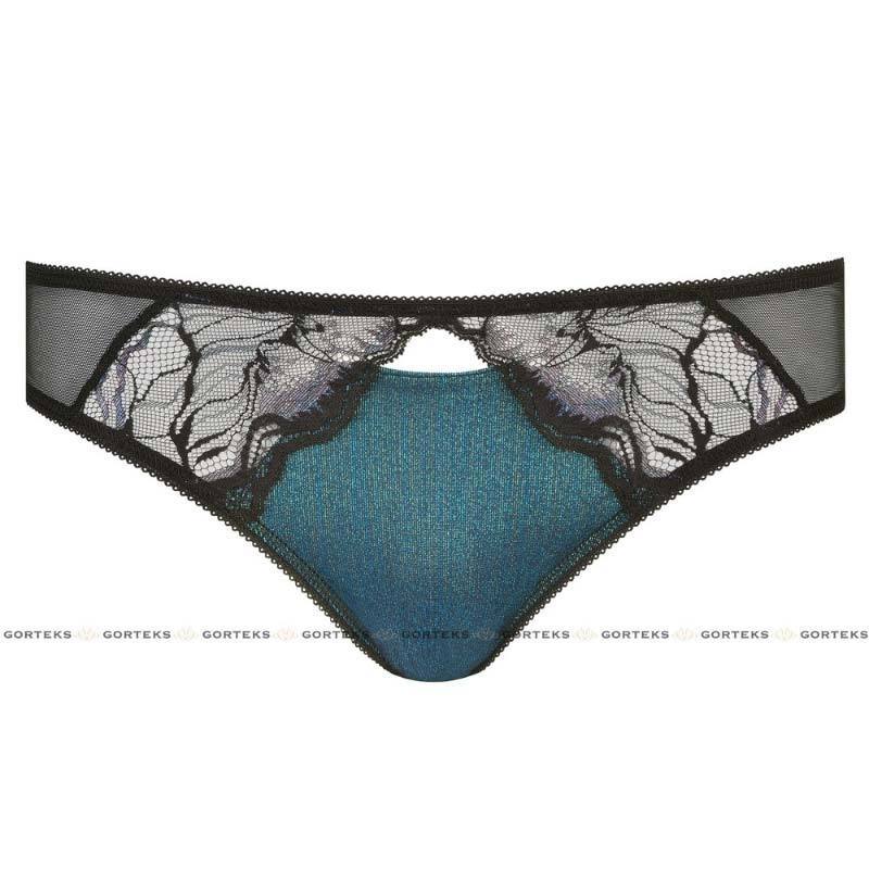 Semi Sheer Lace Bikini Panty Low Rise Full Back Coverage