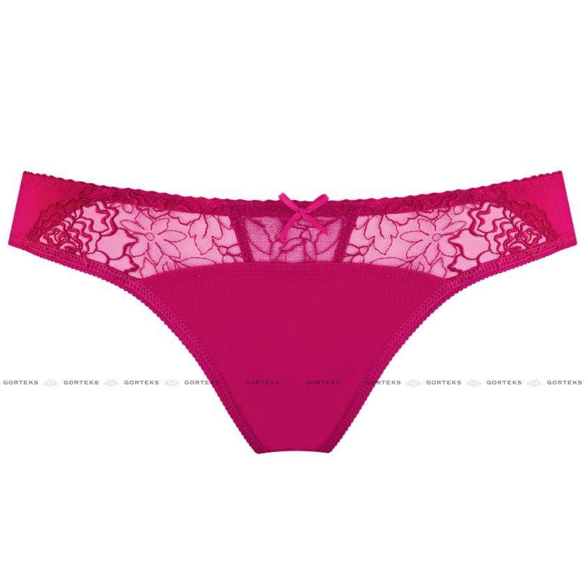 Semi Sheer Lace Low Rise Bikini Panty with Floral Embroidery